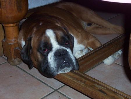 !!socrate!!